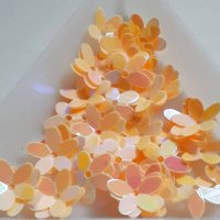 画像1: スパンコール限定088　ファイブスターフラワー 　オレンジ1ｇ
