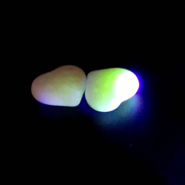 画像3: ウランビーズ1013a　ハート　ホワイト（2個入り）【年代物】 (3)